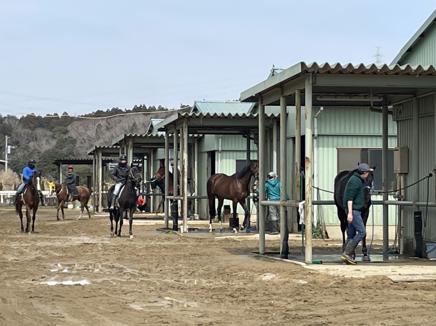 相川 牧場